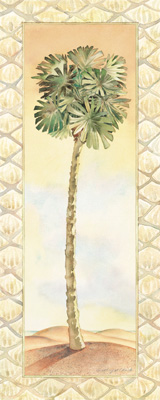 Image Not Available